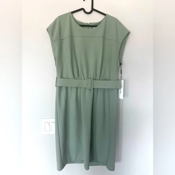 Calvin Klein Short Sleeve Belted Sheath Dress in Jadette at Nordstrom Rack, Size 14